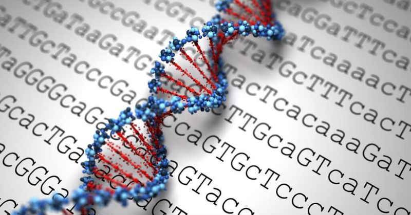 Trichotest : Décryptez l'origine de votre perte de cheveux grâce à l'ADN